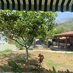 Yard Paradise