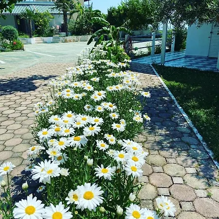Yard Paradise Hotel Dhermi
