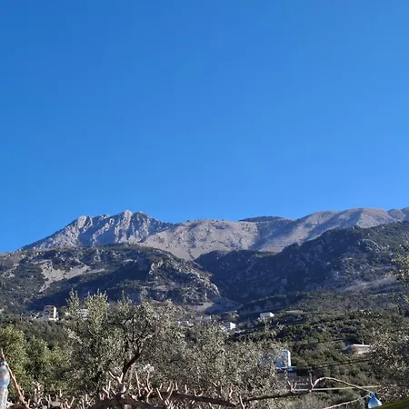 Yard Paradise ホテル 3*