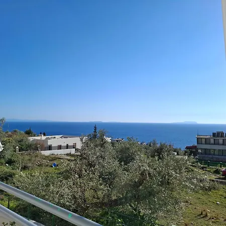 Hotel Yard Paradise