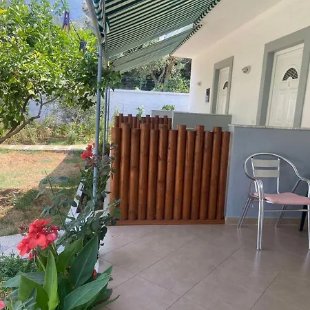 Yard Paradise דרמי