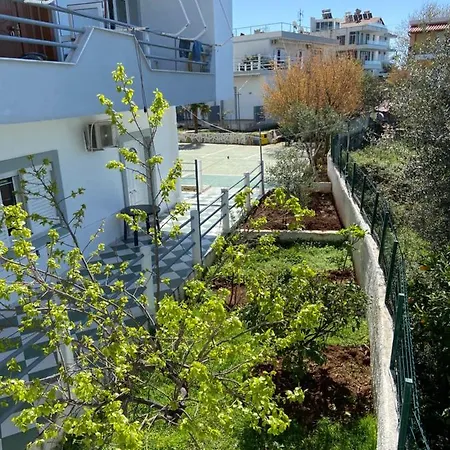 Hotel Yard Paradise