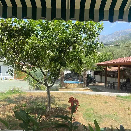 Yard Paradise