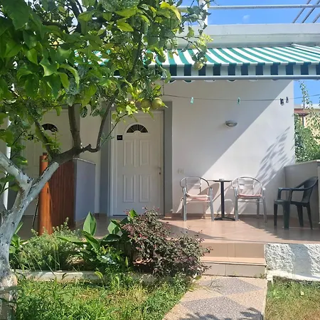 Yard Paradise