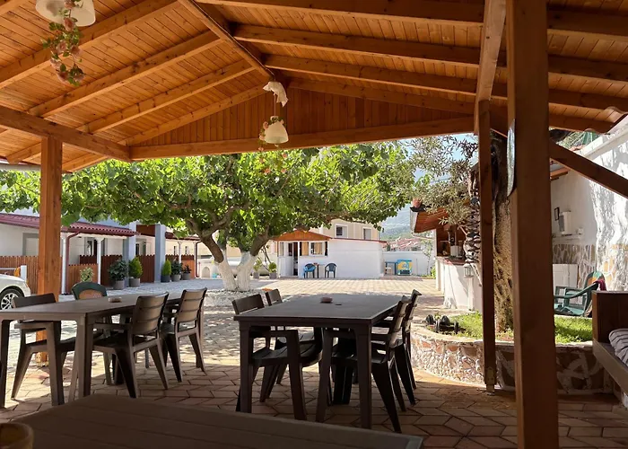 Yard Paradise דרמי